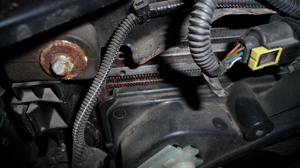 P1060012_resize.JPG
