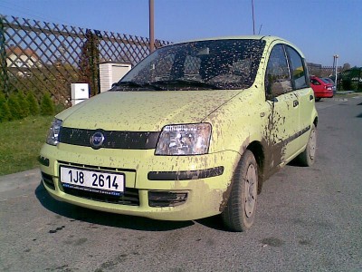 Obraz521.jpg
